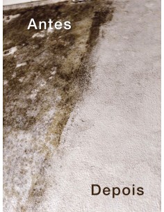 Limpa vidros, tira bolores, calcários - ECO GLASS 2