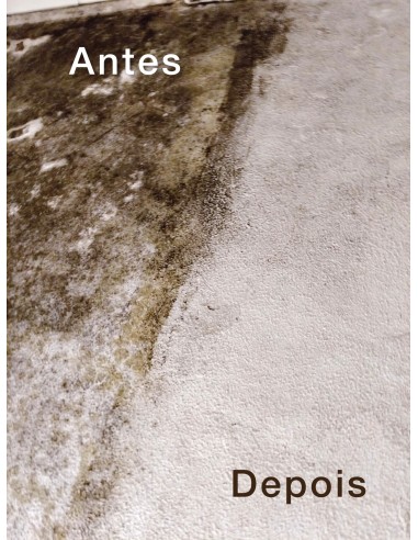 Limpa vidros, tira bolores, calcários - ECO GLASS