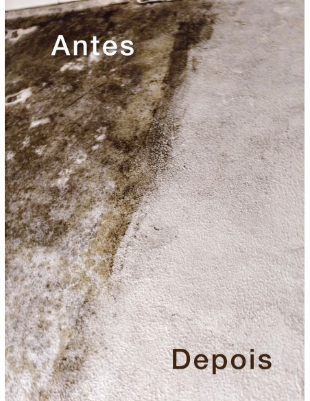 Limpa vidros, tira bolores, calcários - ECO GLASS