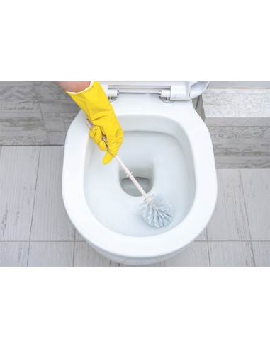 Detergente e desincrustam-te WC Pinho - BLUEBAC