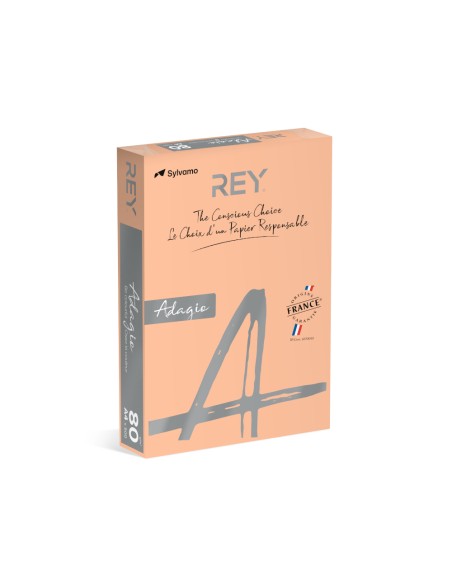 Papel Fotocopia Salmao/Beje Adagio(cd91) A4 80gr 1x500Fls